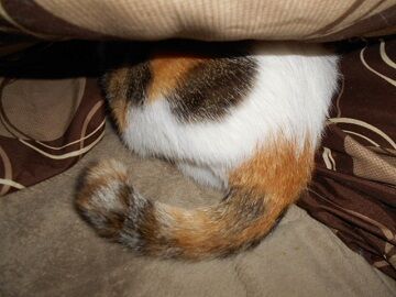 10月1日（19-1）仮