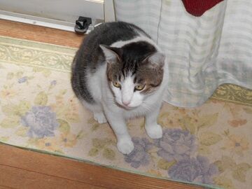 9月13日（8-2）仮