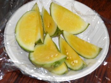 DSCN5628