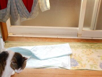 5月23日（10）仮