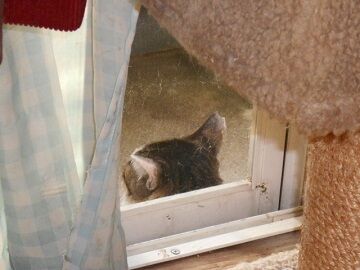 9月6日（6-13）仮