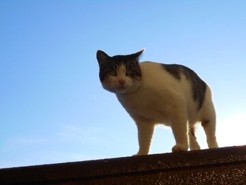 11月17日(34)使用