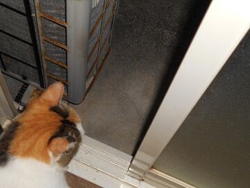 9月15日（3-4）仮