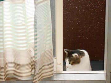 9月13日（12）仮