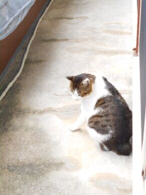 11月13日（20）仮