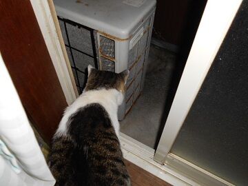 9月26日（20-3）仮