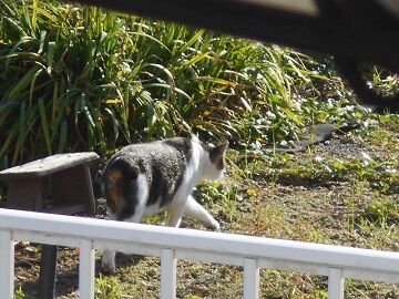 9月30日（7-16）仮