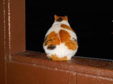 12月8日（62）仮