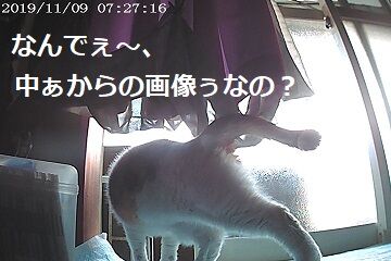 11月9日（16）仮