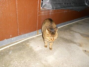 12月19日（8）仮