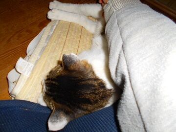 12月6日（21）仮