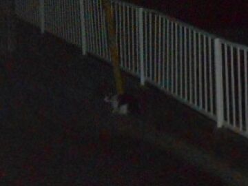 10月20日（52）ー2