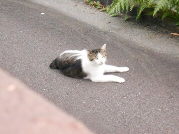 8月18日（16）仮