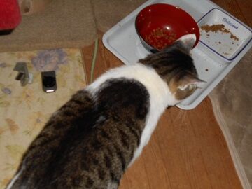 9月28日（4-7）仮