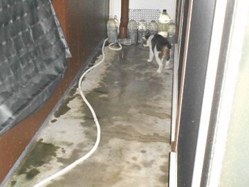 10月12日（3）仮