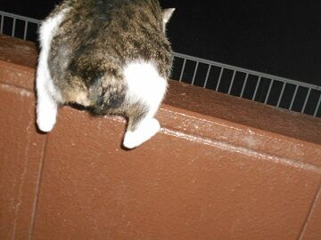 9月13日（23-7）仮