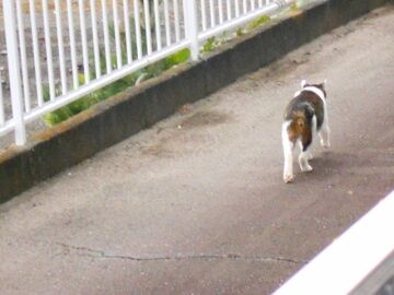 10月28日（2）仮