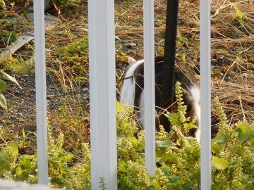 10月2日（6-8）仮