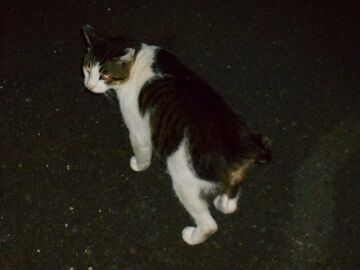 9月23日（21-3）仮