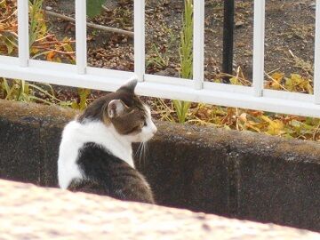 9月30日（21）仮