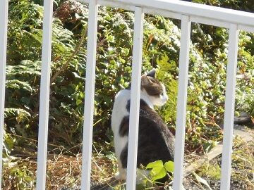 9月30日（7-14）仮