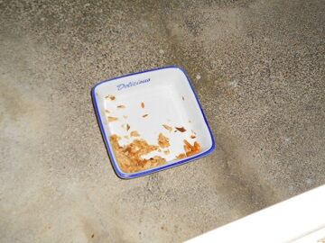 1月22日（62）仮