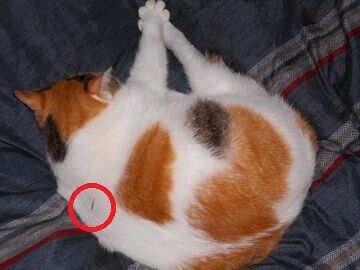 10月12日（5-10）仮