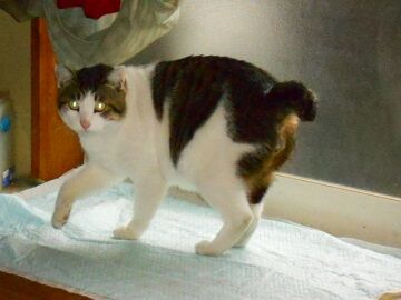 12月6日（14）仮