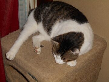 9月22日（23-6）仮