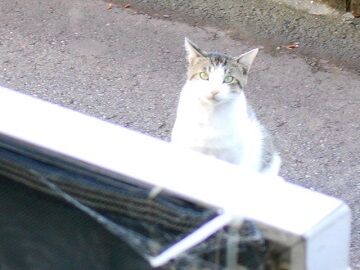 6月24日（42）仮