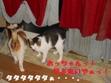 9月24日（19-2）仮