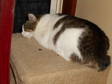 6月23日（37）仮