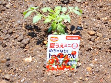 5月29日(22)