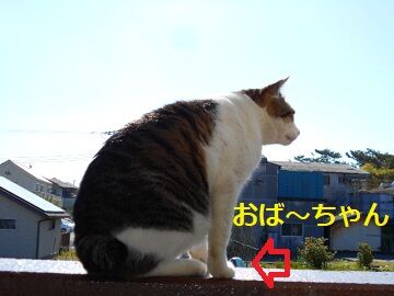 4月19日(31)仮