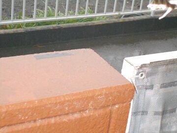 12月17日（11）仮