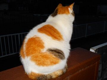 5月10日（76）仮