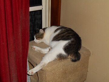 9月16日（23-6）仮