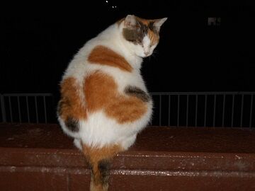 9月15日（3-8）仮