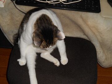 9月26日（6-10）仮