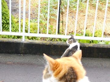 6月24日（29）仮