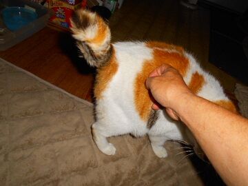 5月19日（24）仮