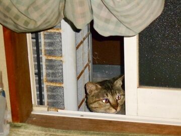 5月23日（46）仮