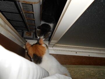 9月23日（5-2）仮