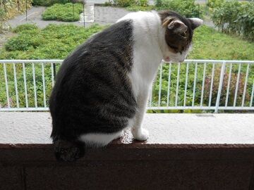 9月16日（10-1）仮