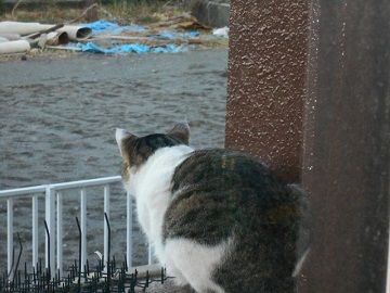3月2日(21)