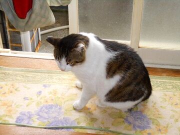 5月18日（78）仮