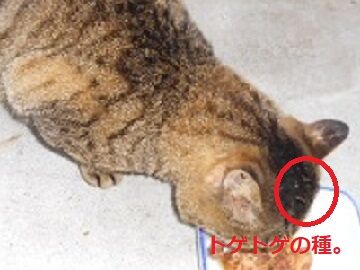 2月22日(33)仮 - コピー