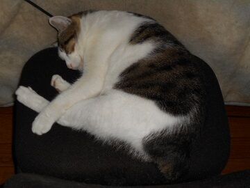 9月28日（11-5）仮