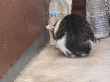 9月30日（7-3）仮