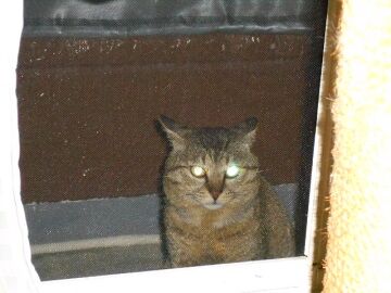 5月10日（63）仮